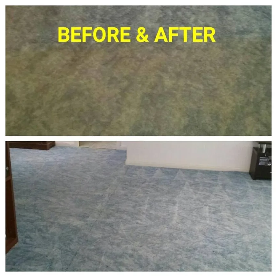 Carpet mid-clean, the finished half visibly brighter