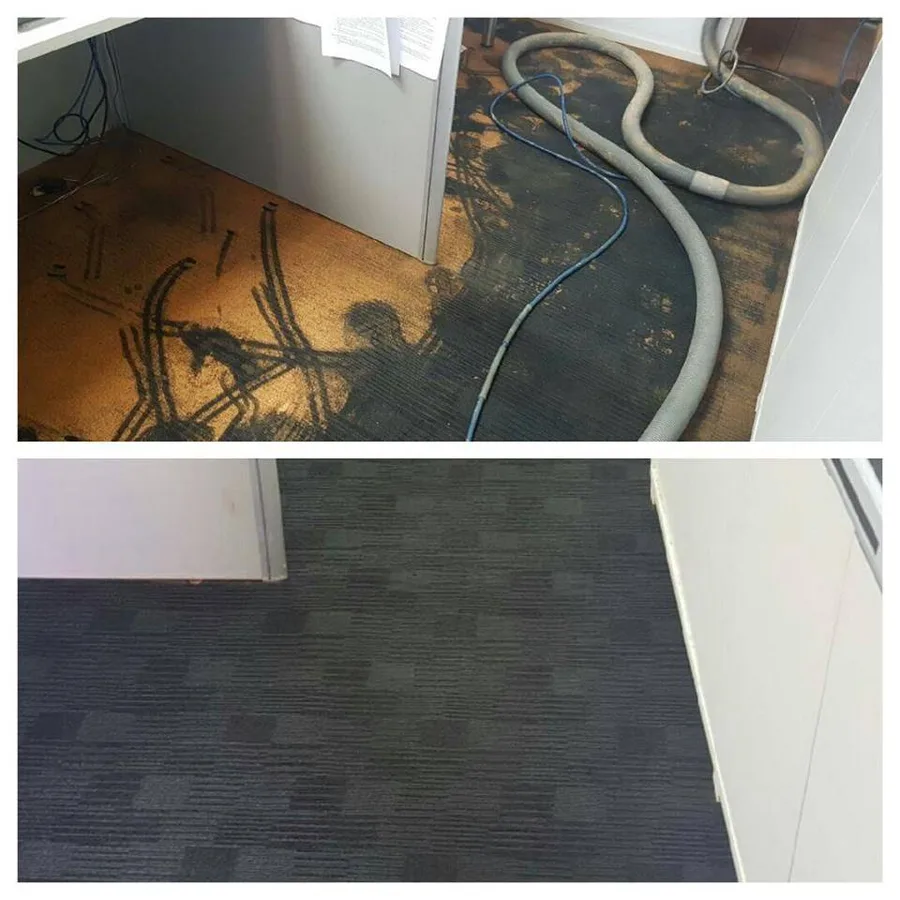 Flood-affected carpet during extraction