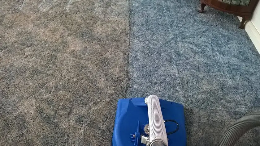 A living room carpet mid-clean, the cleaned half visibly brighter than the soiled half