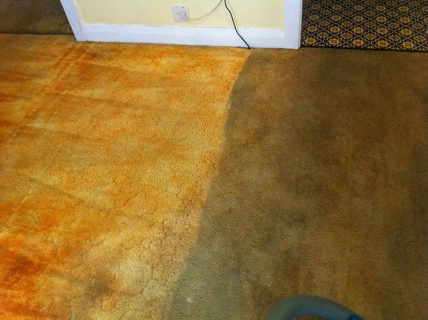 Heavily soiled carpet restored to clean, photographed on the job