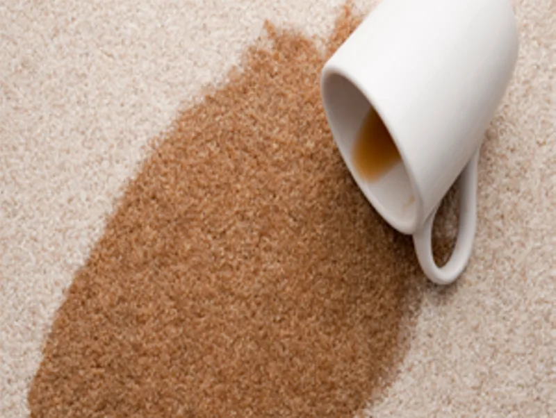 A coffee spill on carpet before stain removal