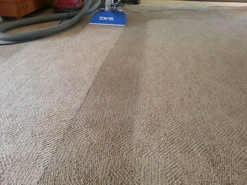 The Hydro X wand head part way across a beige carpet, a clean lane behind it